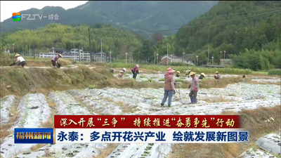 永泰：多点开花兴产业 绘就发展新图景