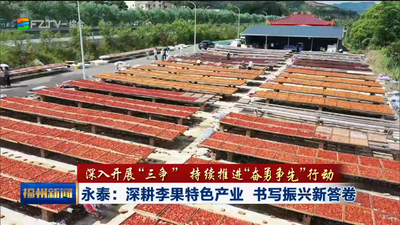 永泰：深耕李果特色产业 书写振兴新答卷