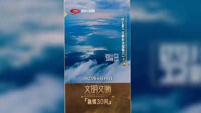 什么是“文明对话国际日”？