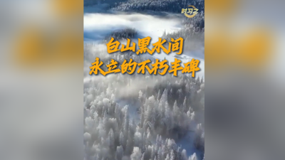 时习之丨白山黑水间永立的不朽丰碑