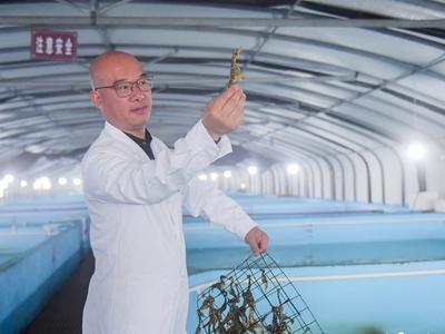 罗源湾畔 海马产业“第一镇”崛起