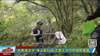 “世界清洁日”净山在行动 志愿之力守护绿色家园