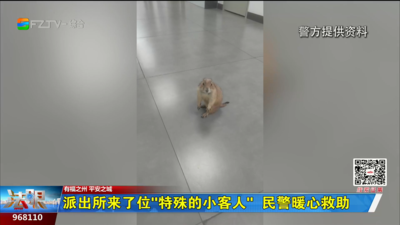 派出所来了位“特殊的小客人” 民警暖心救助