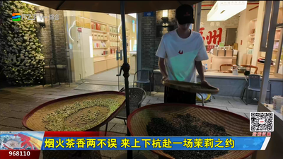 烟火茶香两不误 来上下杭赴一场茉莉之约
