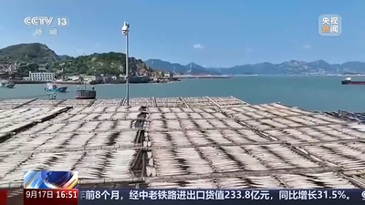 央视关注连江：晒制鱼干正当时 沿海村民晒秋忙