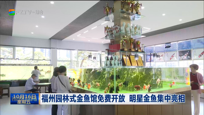 福州园林式金鱼馆免费开放 明星金鱼集中亮相
