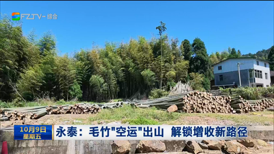 永泰：毛竹“空运”出山 解锁增收新路径