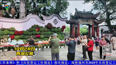 一园菊色满城秋 福州西湖金秋菊花展如约而至
