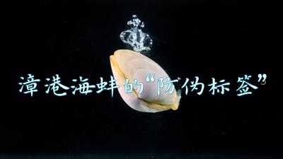 走进乡村学闽菜丨漳港海蚌的“防伪标签”