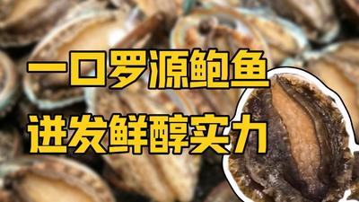 走进乡村学闽菜丨一口罗源鲍鱼 迸发鲜醇实力
