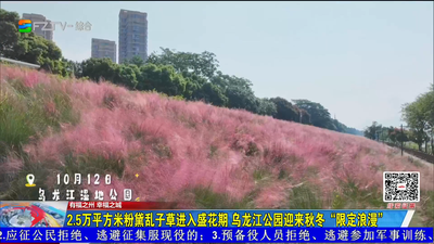 2.5万平方米粉黛乱子草进入盛花期 乌龙江公园迎来秋冬“限定浪漫”