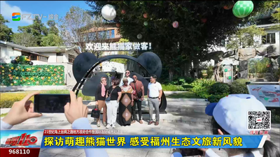 探访萌趣熊猫世界 感受福州生态文旅新风貌
