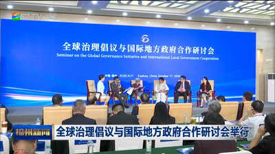 全球治理倡议与国际地方政府合作研讨会举行