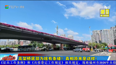 高架桥底部为啥有条缝？真相原来是这样！