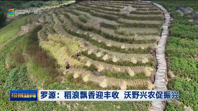 罗源：稻浪飘香迎丰收 沃野兴农促振兴