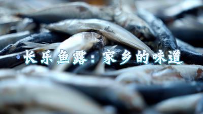 走进乡村学闽菜丨长乐鱼露：家乡的味道