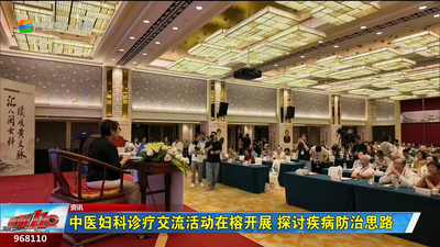 中医妇科诊疗交流活动在榕开展 探讨疾病防治思路