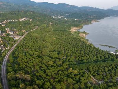 第八批中国重要农业文化遗产名单公布 福州橄榄种植系统入选