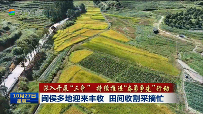 闽侯多地迎来丰收 田间收割采摘忙