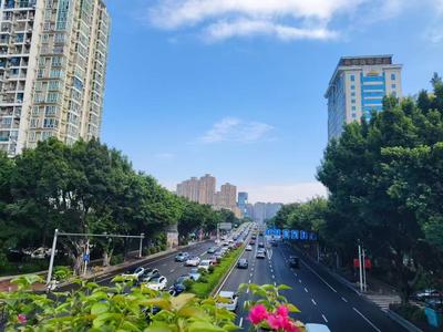满城繁花 满目风华 2026年世界城市日全球主场活动10月31日开幕