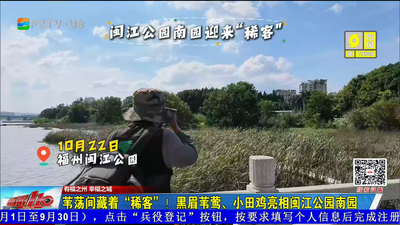 苇荡间藏着“稀客”！黑眉苇莺、小田鸡亮相闽江公园南园